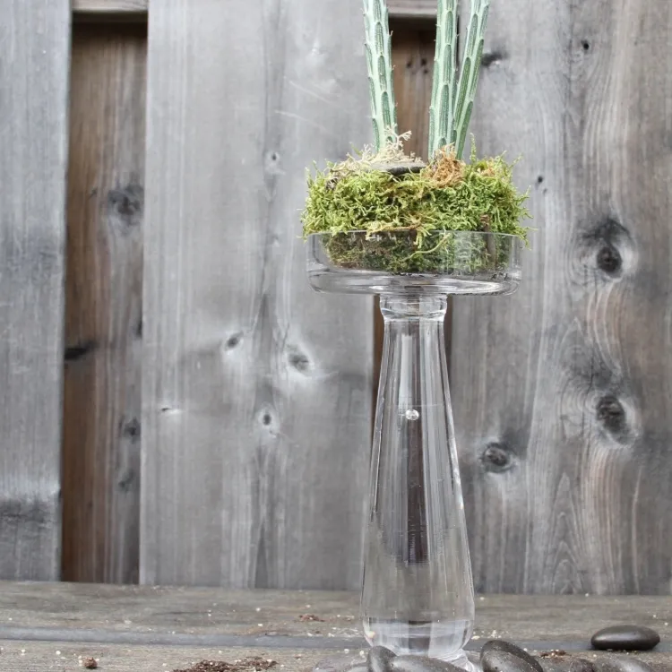 Crystal candle holder with unique succulent photo 1