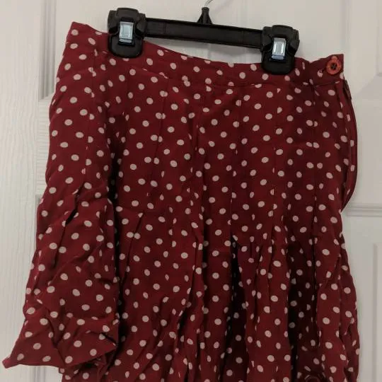 F21 Vintage Polka Dot Red Skirt With Pleats photo 1