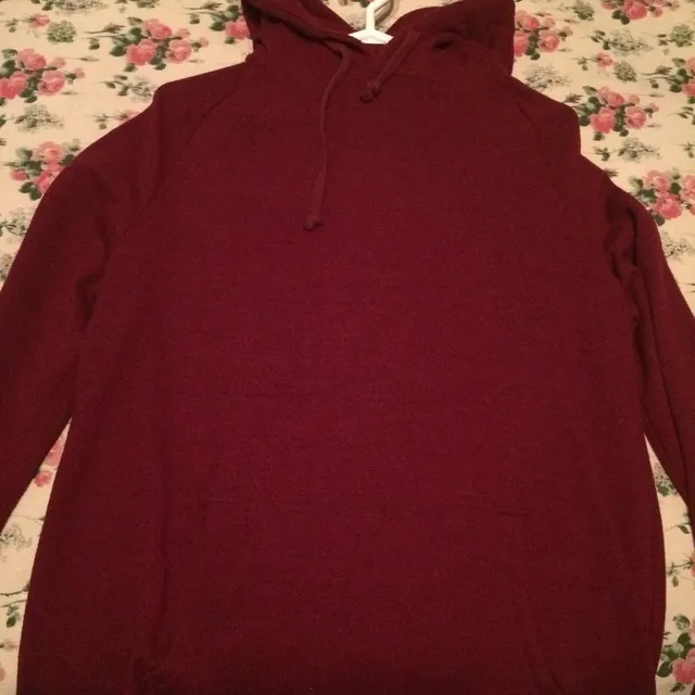 Urban Outfitters Hoodie photo 1