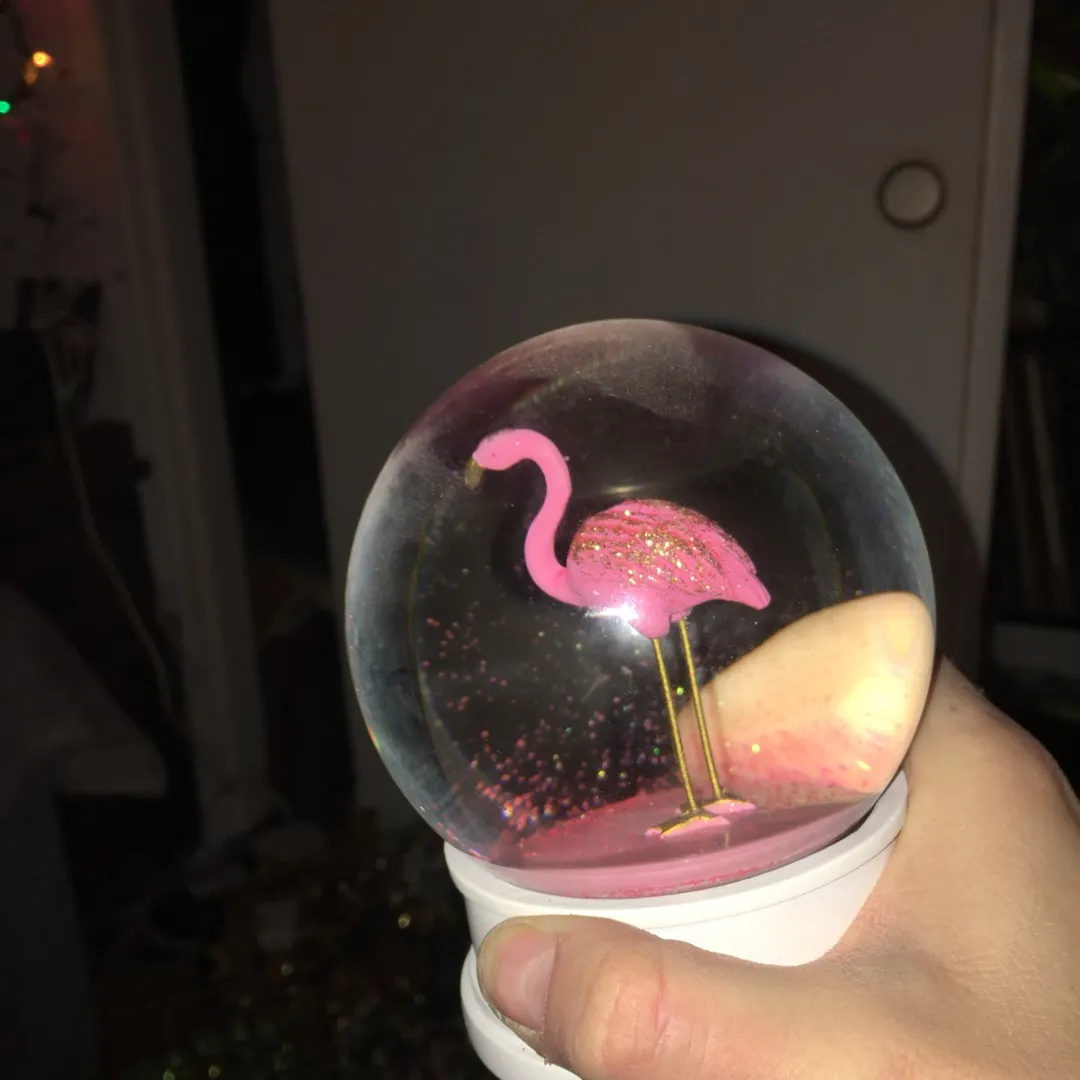 flamingo snow globe photo 6
