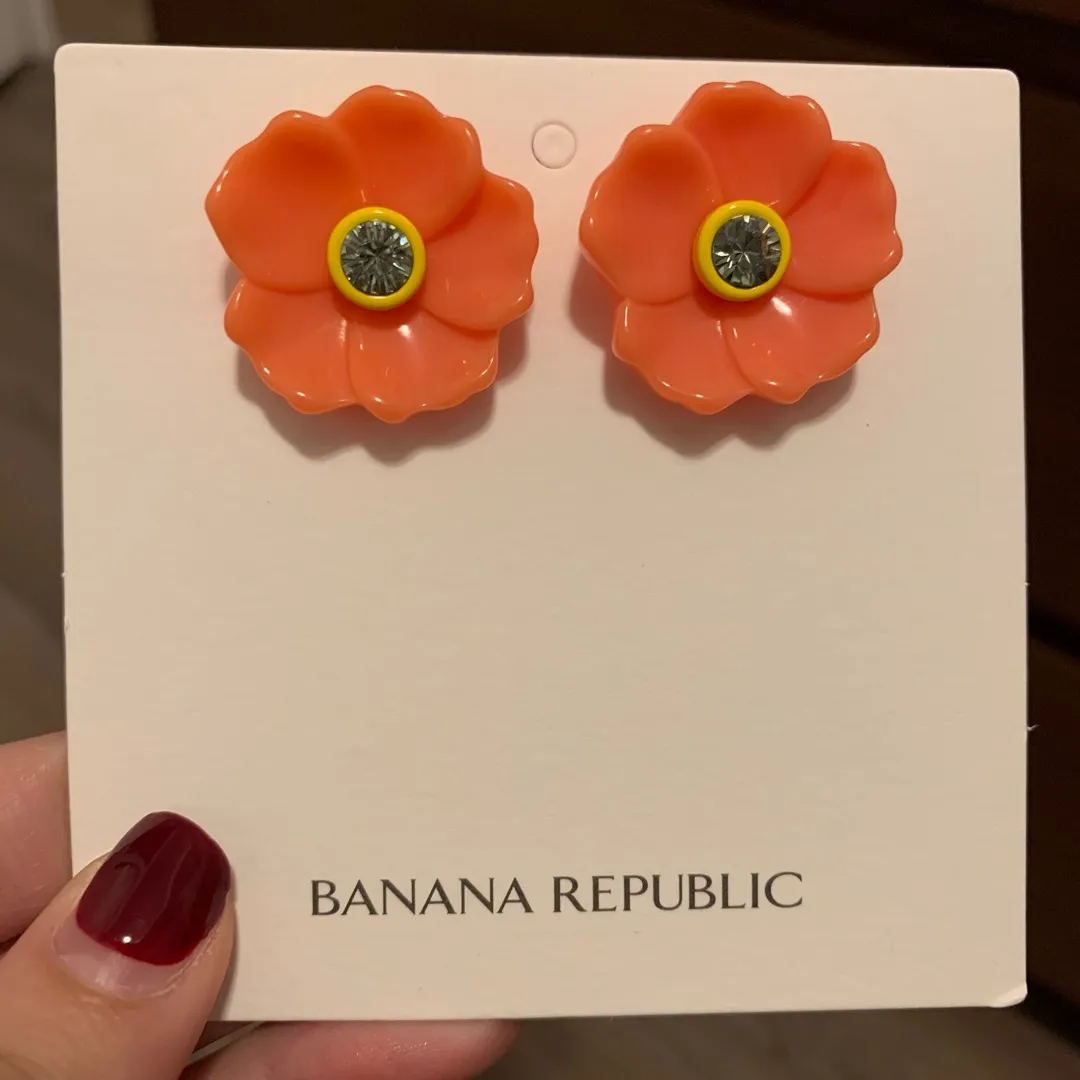Banana Republic Earrings photo 1