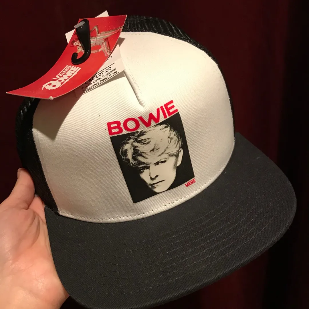 Brand New Vans Bowie Hat photo 1