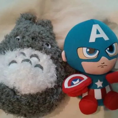 Japanese Totoro And Captain America photo 1