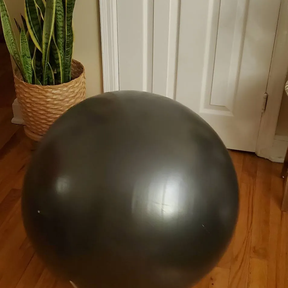 Stability Ball photo 1