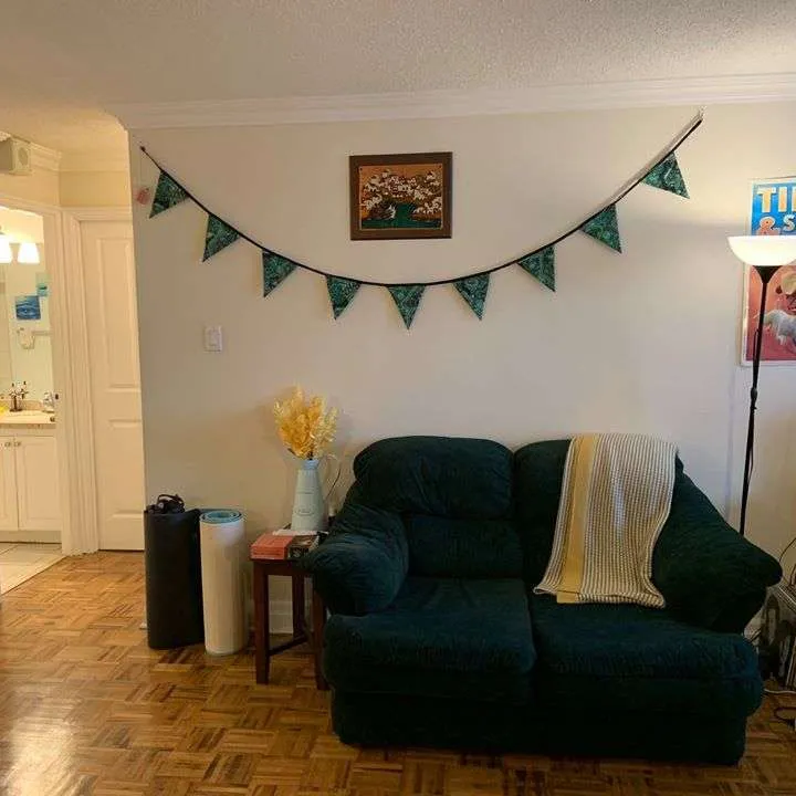 Room for Rent 850$ May-Aug photo 5