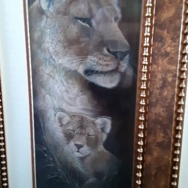 Collectible Ruane Manning Safari Large framed art, Wildlife D... photo 6