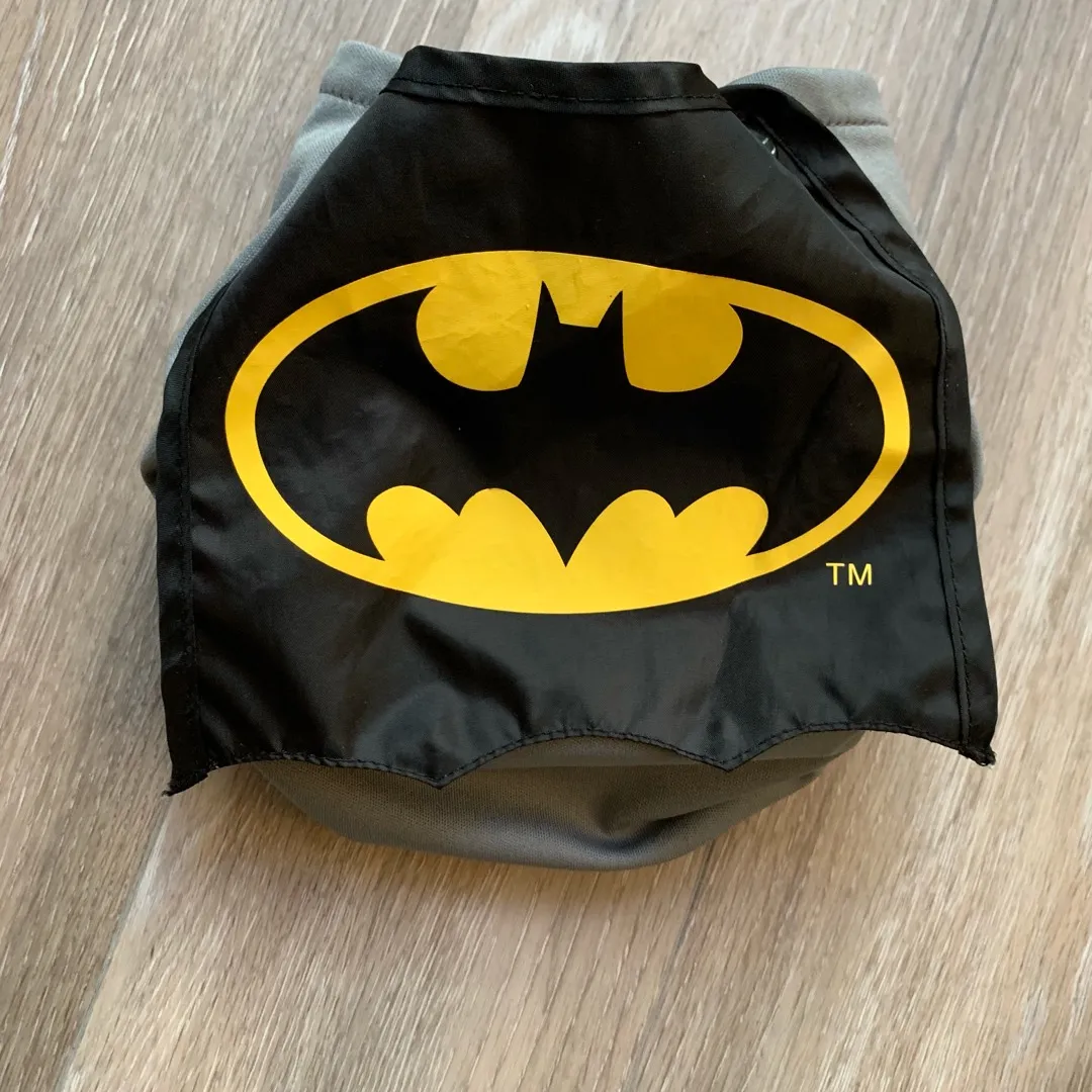 Batman Cloth Diaper photo 1