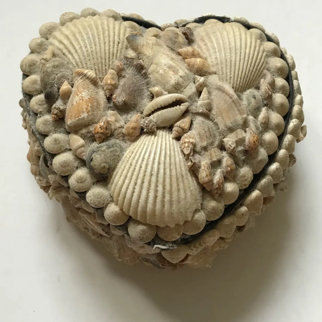 Seashell “box” photo 1