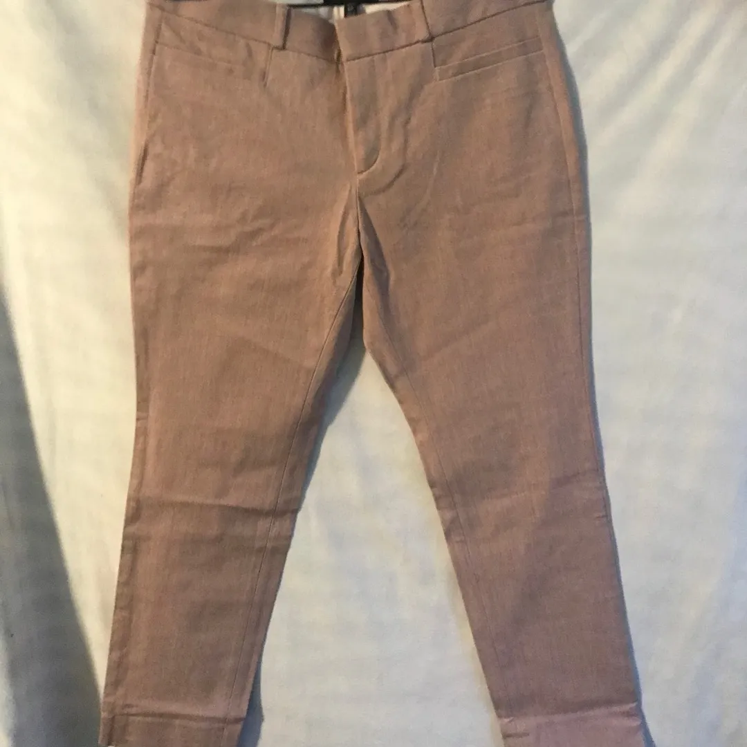 BNWT BANANA REPUBLIC Sloan Pants Size 6P photo 6
