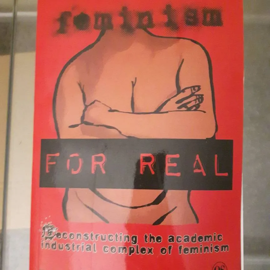 Feminism For Real Book photo 1