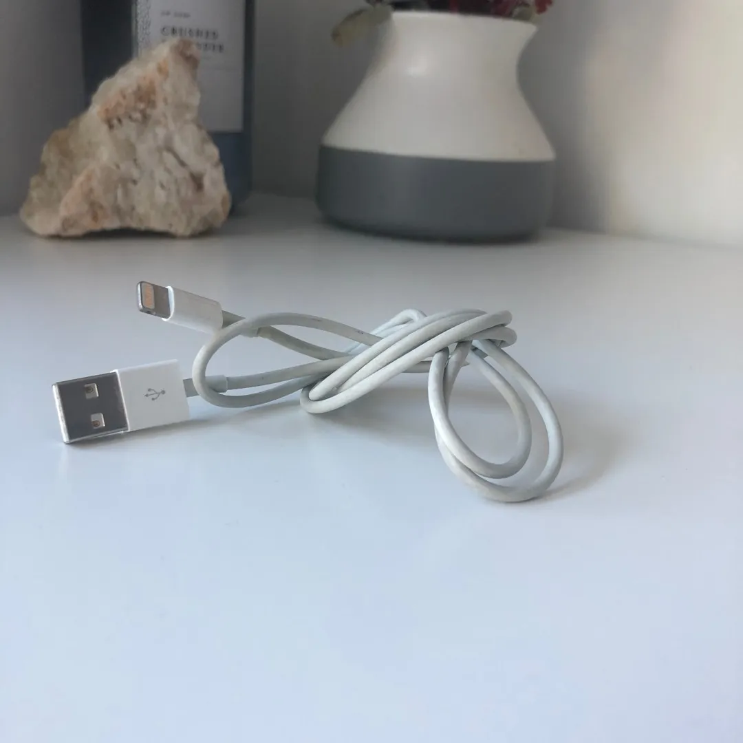 Apple Lightning Cable photo 1