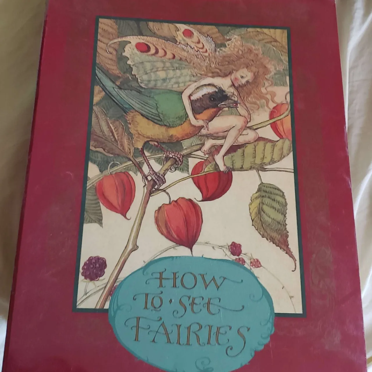 How to See Fairies Book Pack photo 1