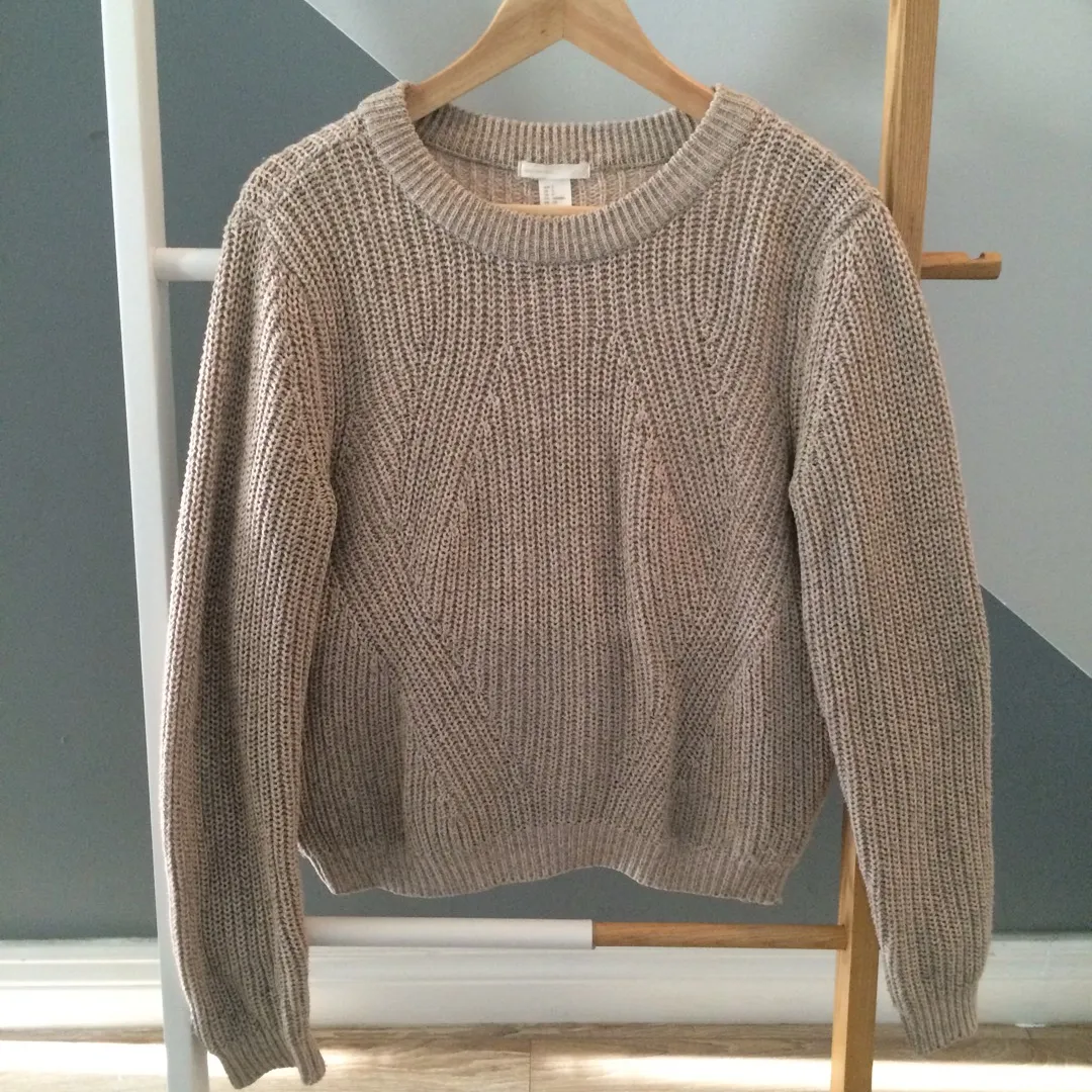 H & M Sweater photo 1