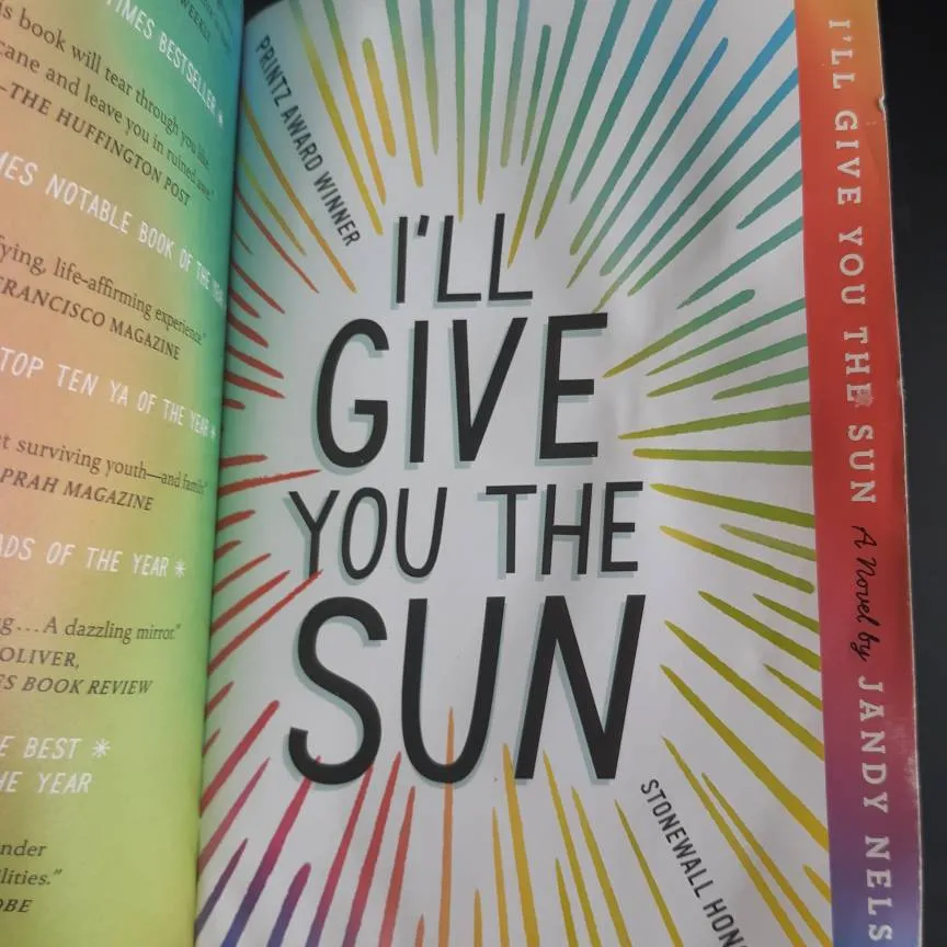 I'll Give You The Sun Book photo 3