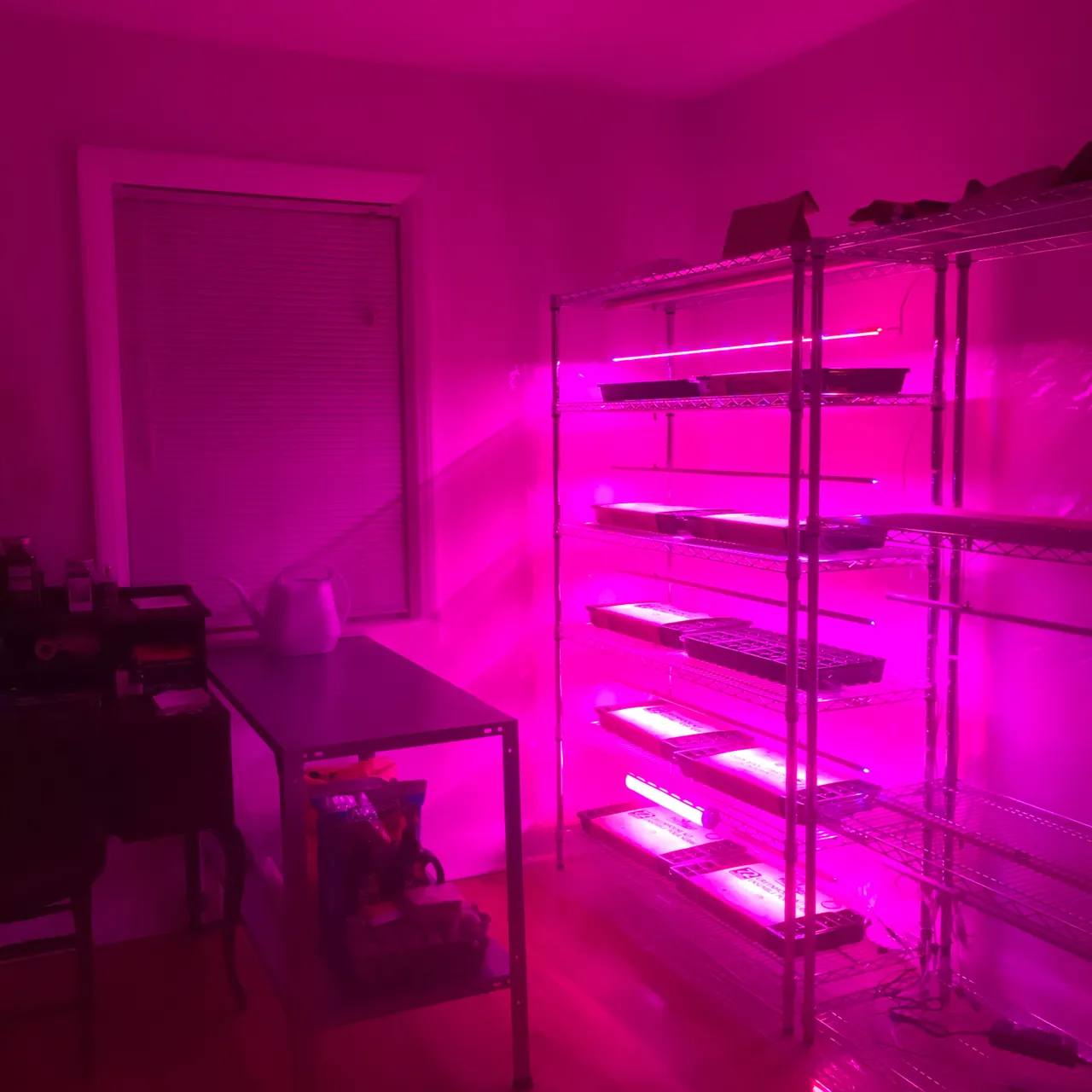 8 LED Plant Lights photo 1