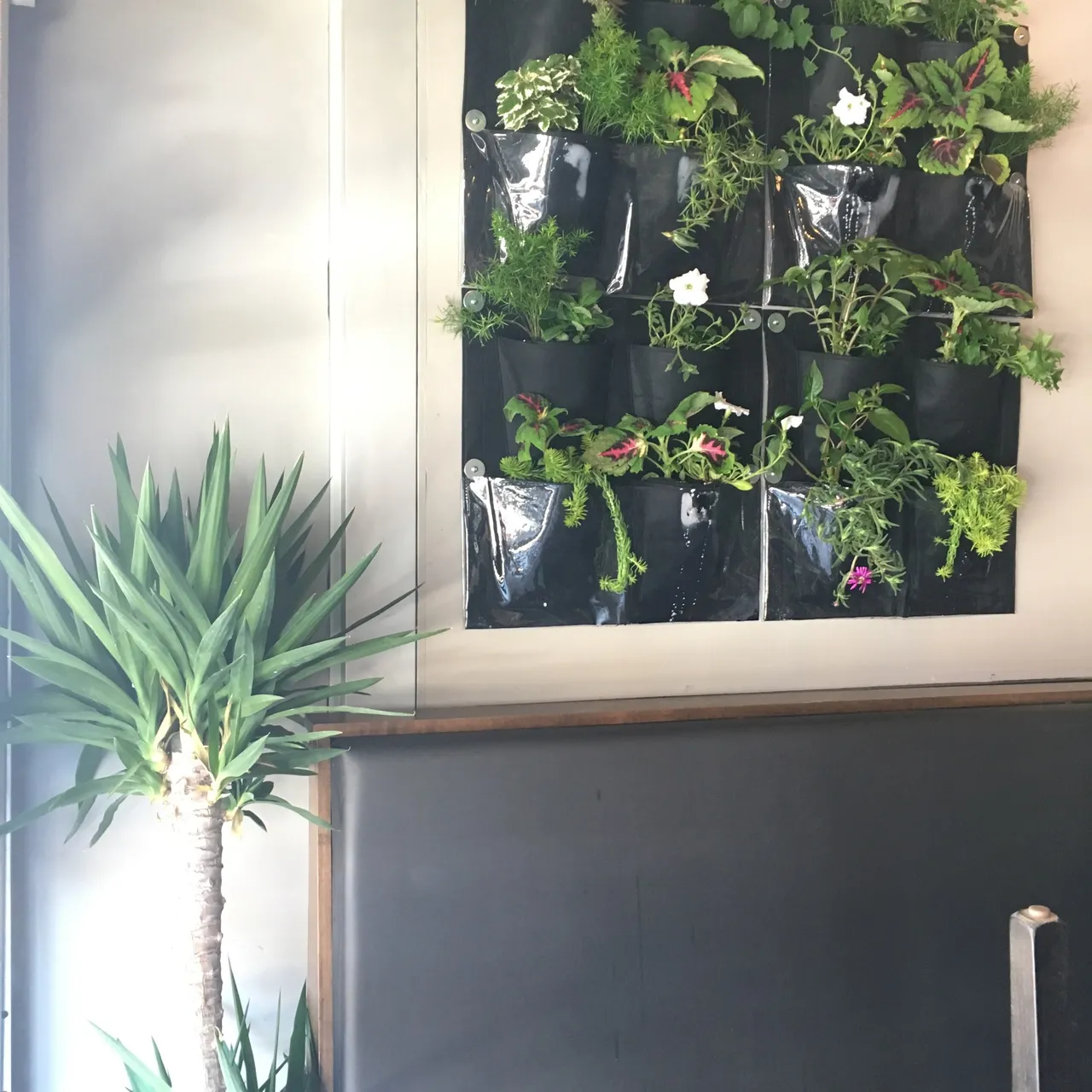 DIY Living Plant Wall Modules photo 3