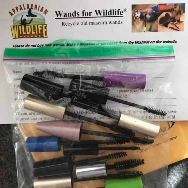 Save And Donate Your Mascara Wands To Help Wildlife! photo 1