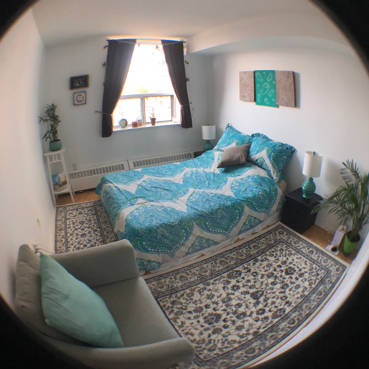 Roommate Wanted: Queen West Soulful Pad photo 1