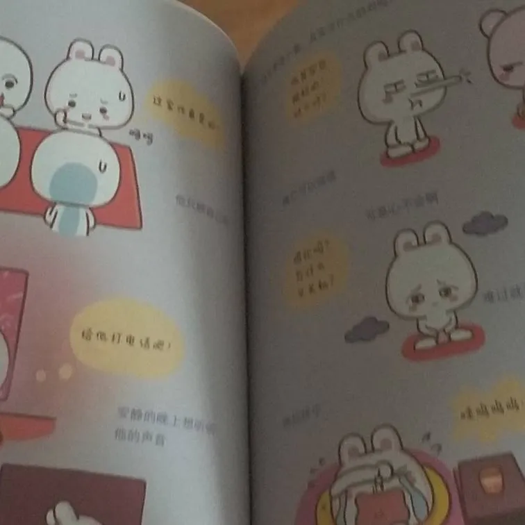 pix book in Chinese "missubear" photo 3