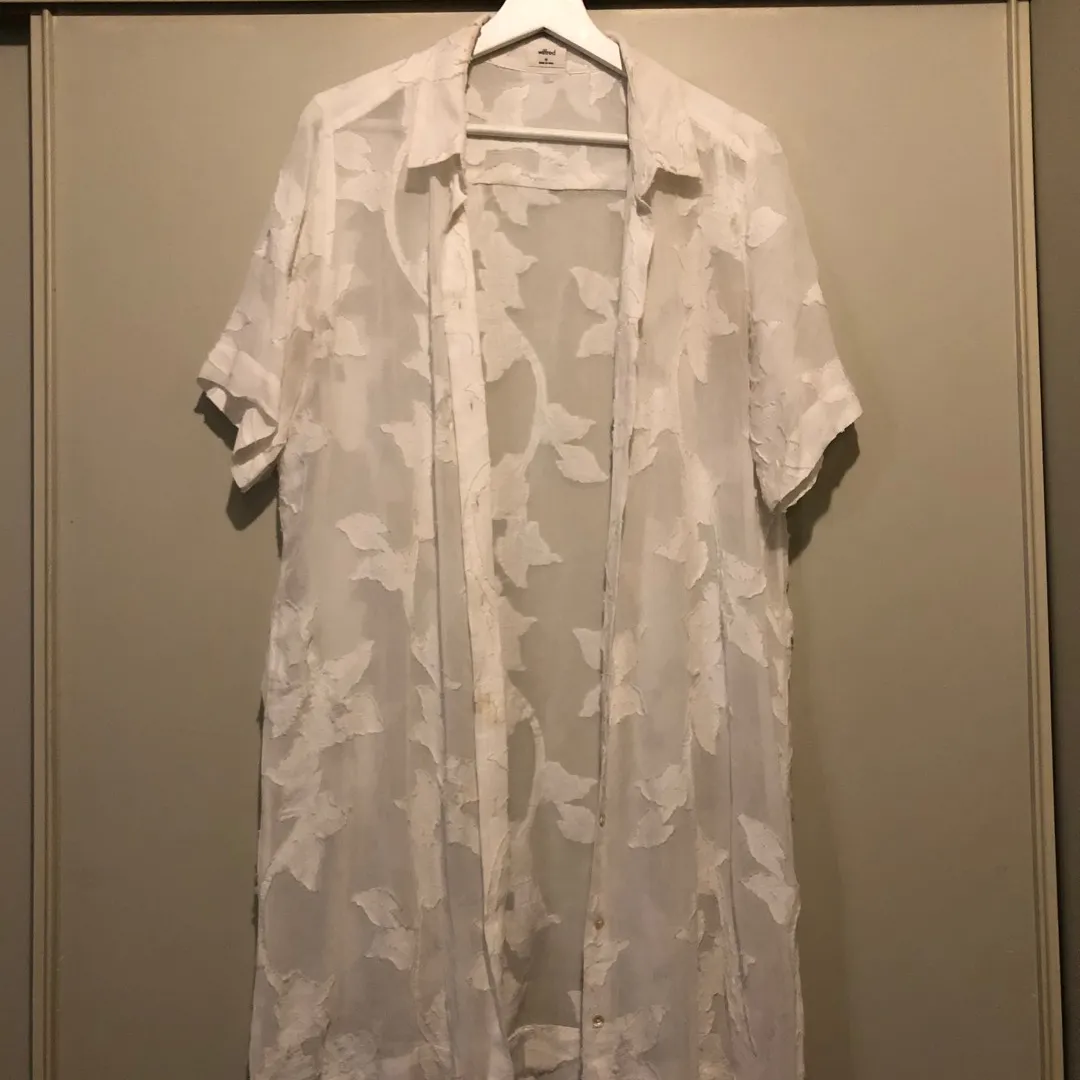 Wilfred/aritzia Sheer Shirt Dress photo 1