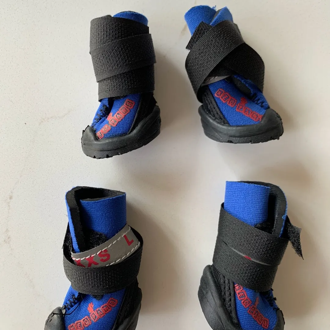 Doggie Winter/water Shoes XXS New Condition photo 1