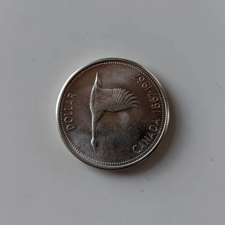 Silver Dollar photo 1
