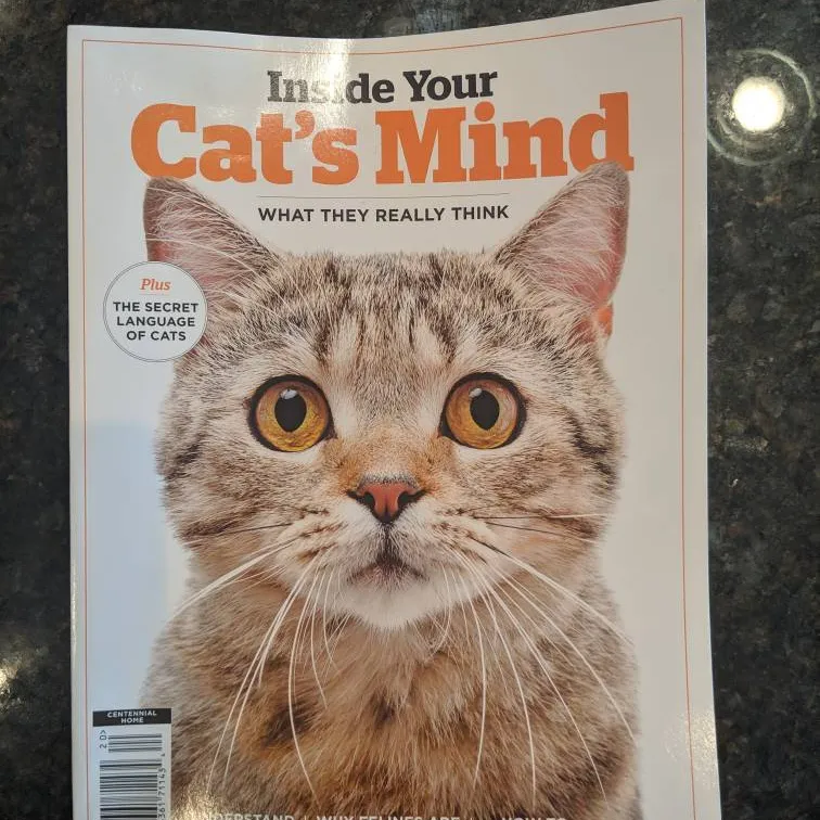 FWT Inside Your Cat's Mind photo 1