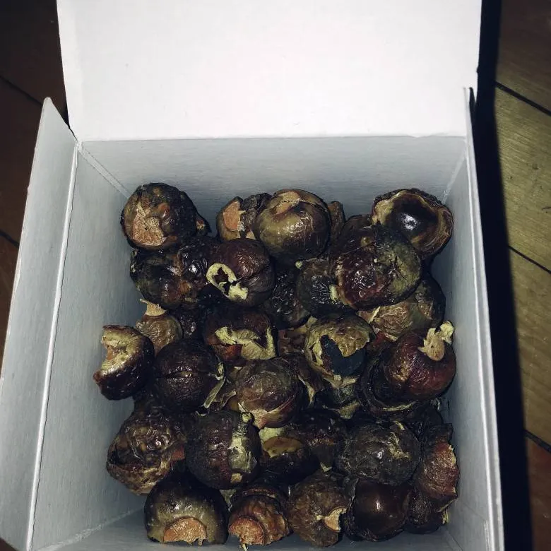 Soap Nuts photo 1