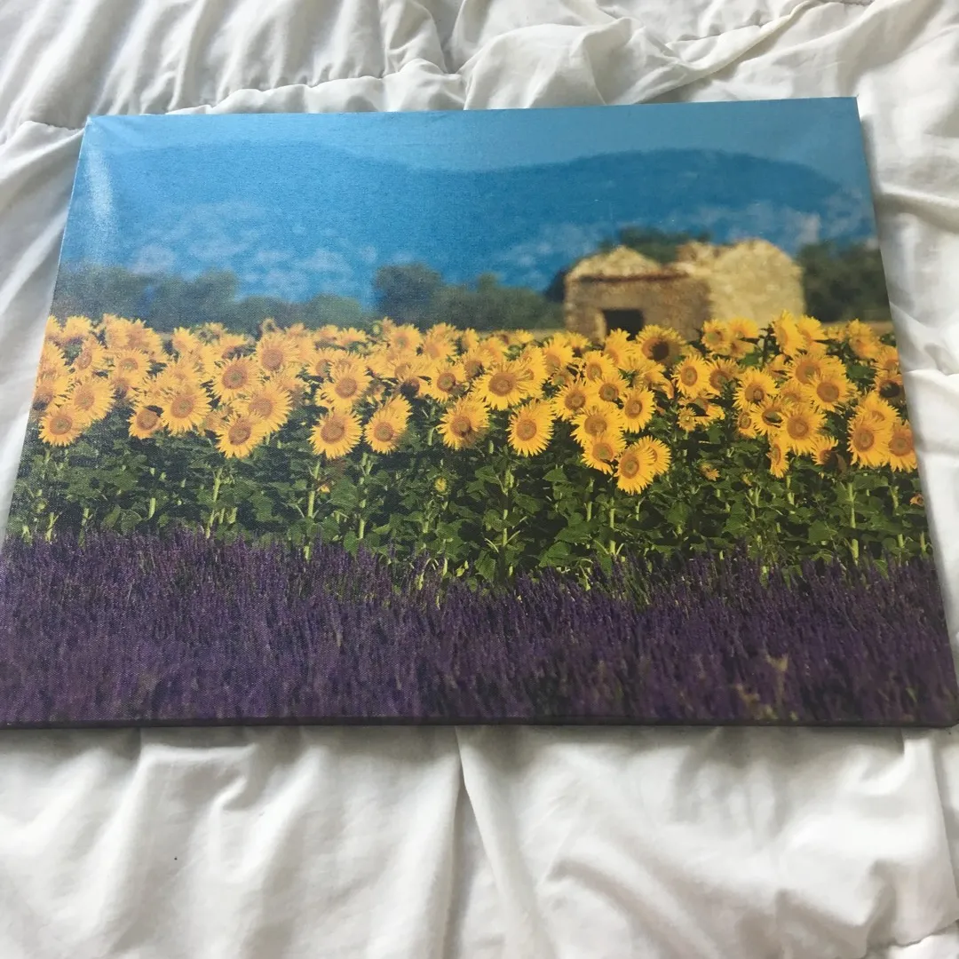 Sunflower Painting photo 1