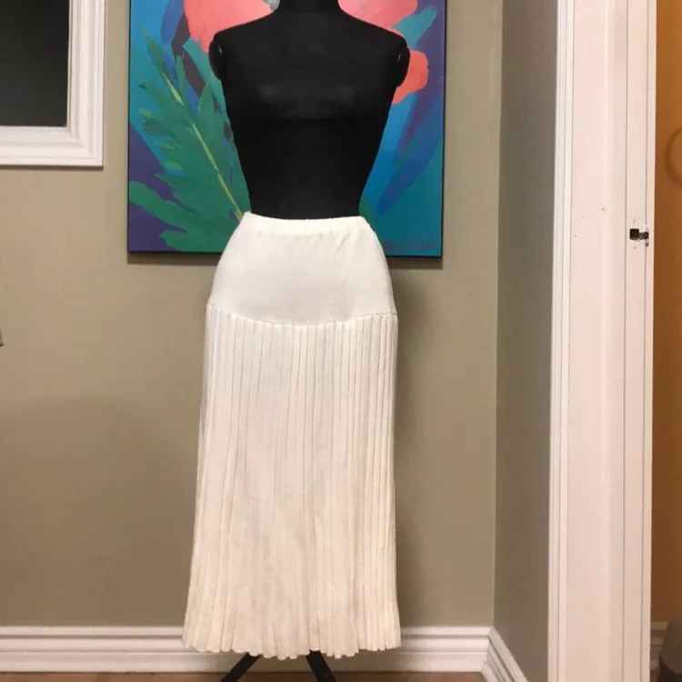 Pleated Skirt photo 1