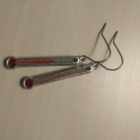 Thermometer Earrings photo 1
