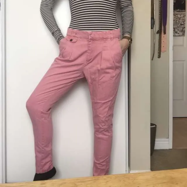 Zara pink Skinny Pant W Pleats photo 1