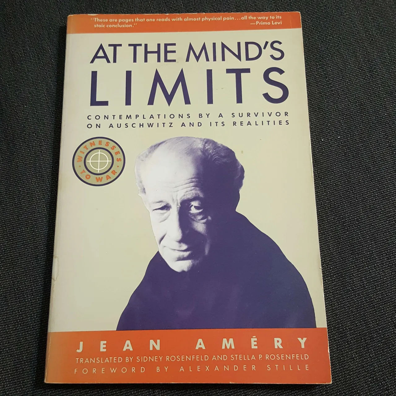 At The Mind's Limits by Jean Amery photo 1