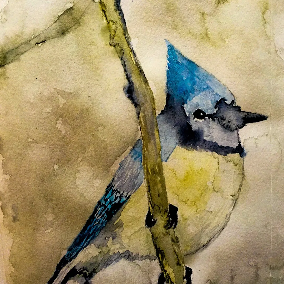 8x5 Blue Jay Watercolour photo 1