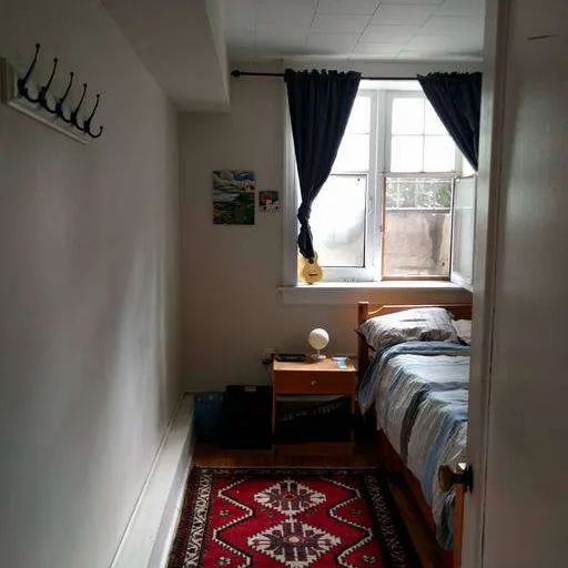Roommate Wanted in a Furnished Downtown Apartment photo 3