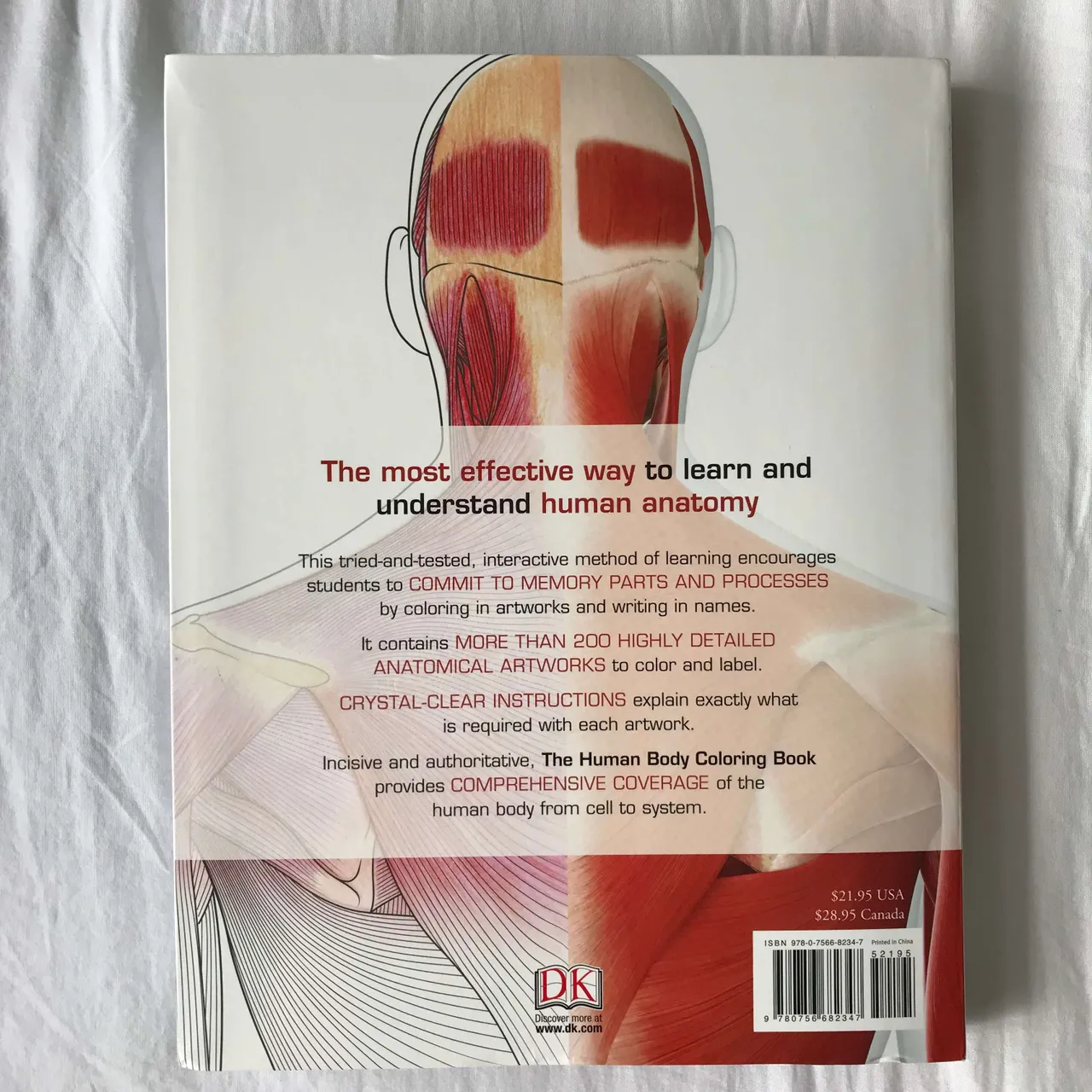 Human Body Coloring Book! photo 7