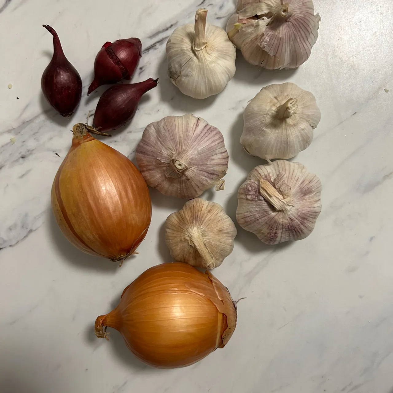 Garlic & Onion!! 🧄🧅 photo 1